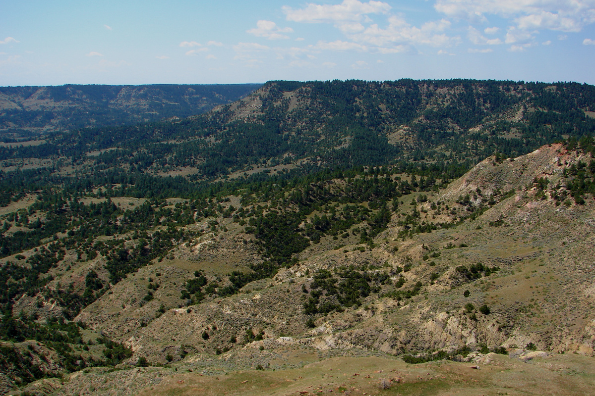 Looking Back towards Birney Divide