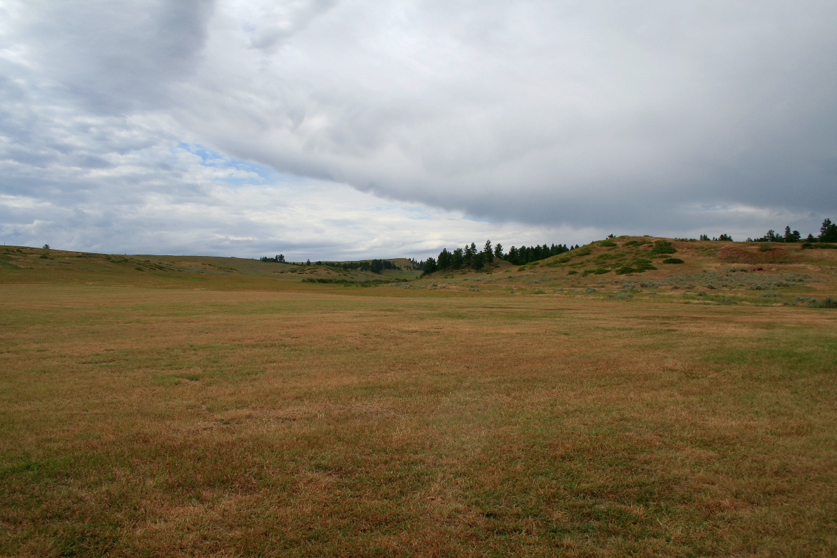 Pole bitwy - południe