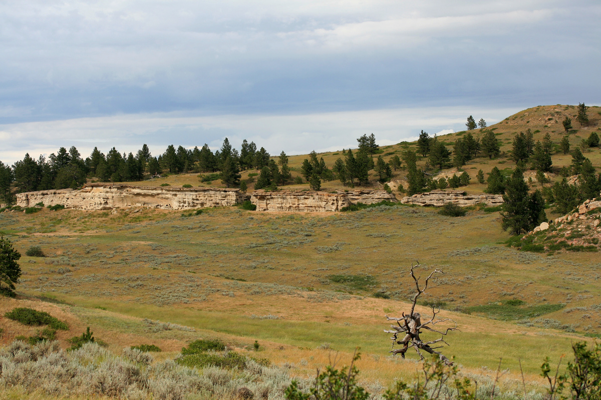 Buffalo Jump (Podróże » USA: Na ziemi Czejenów » Rezerwat » Pole bitwy nad Rosebud)