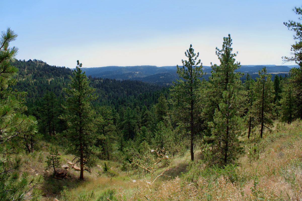 Skyline Drive (Travels » US Trip 1: Cheyenne Country » The Rez)