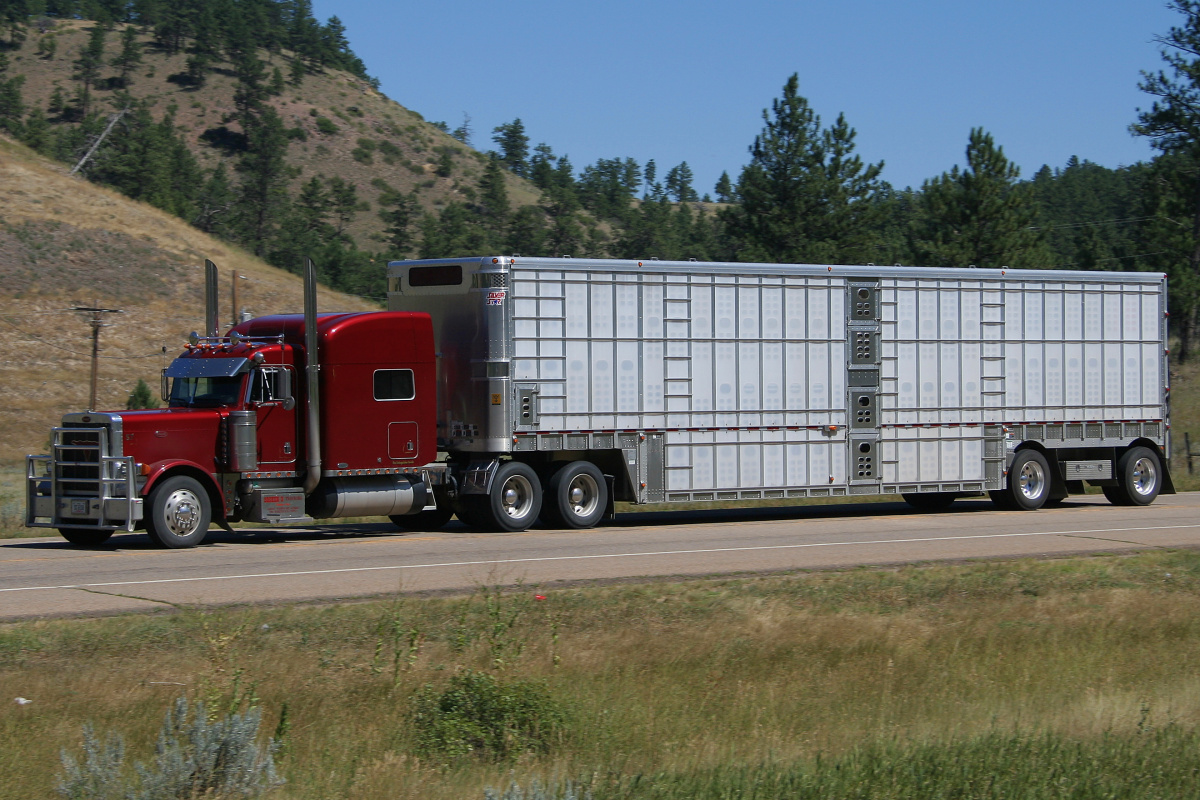 Peterbilt 379 18-wheeler
