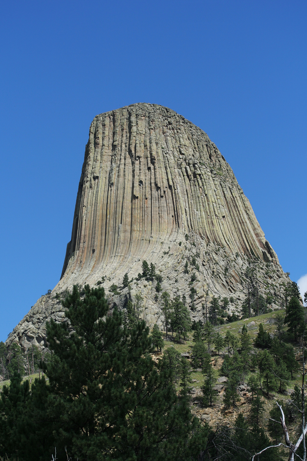 Bear Lodge (Travels » US Trip 1: Cheyenne Country » The Journey » Devils Tower)