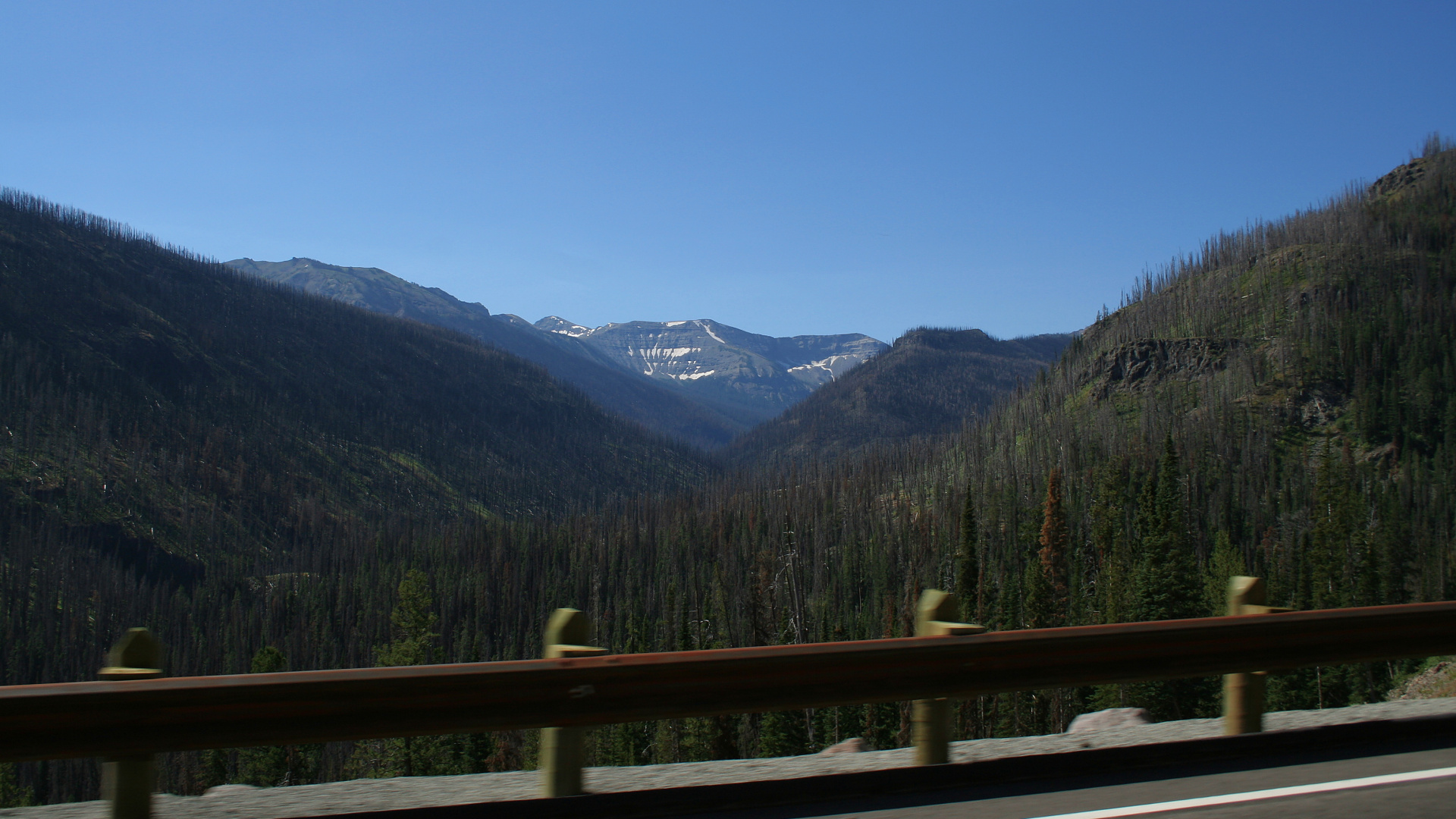Plenty Coups Peak: wschodni stok (Podróże » USA: Na ziemi Czejenów » Wielka Podróż » Shoshone National Forest)