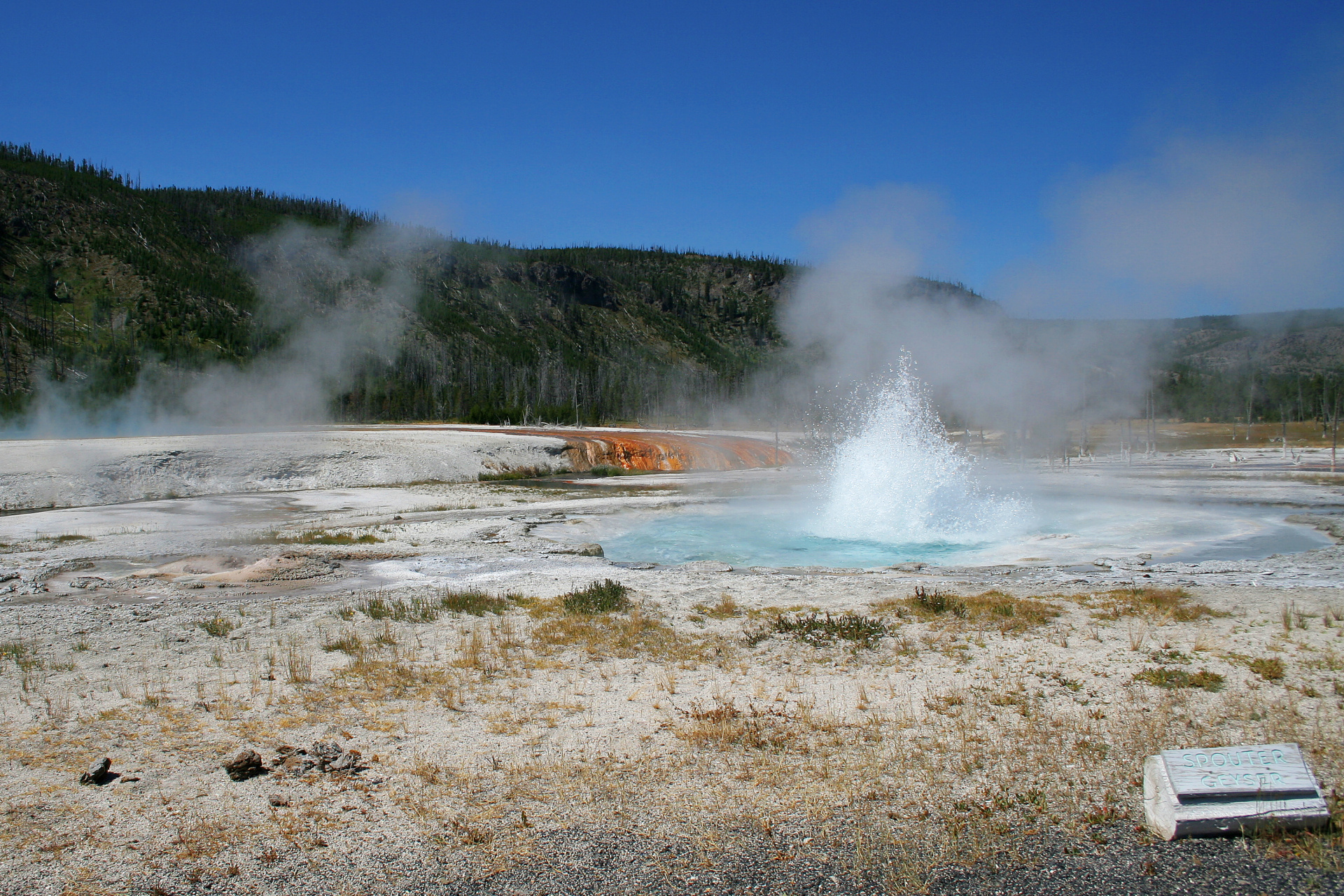 Spouter Geyser (Travels » US Trip 1: Cheyenne Country » The Journey » Yellowstone National Park » Geysers, Hot Springs and Lakes » Black Sand Basin)