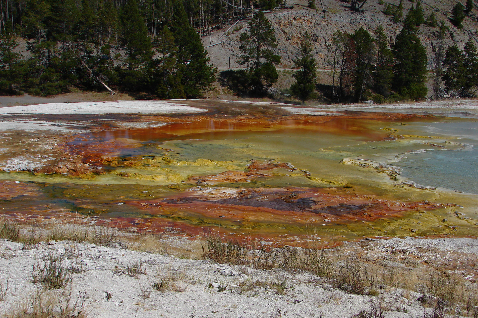 Minerały (Podróże » USA: Na ziemi Czejenów » Wielka Podróż » Park Narodowy Yellowstone » Gejzery, gorące źródła i jeziora » Midway Geyser Basin)