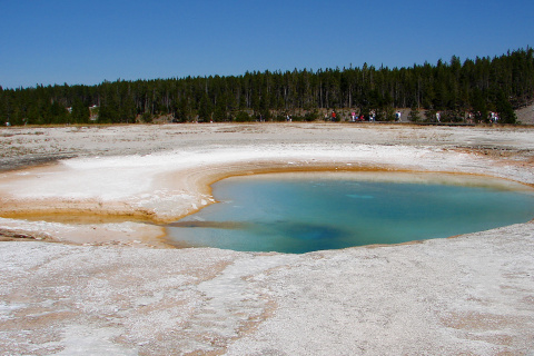 Turquoise Pool