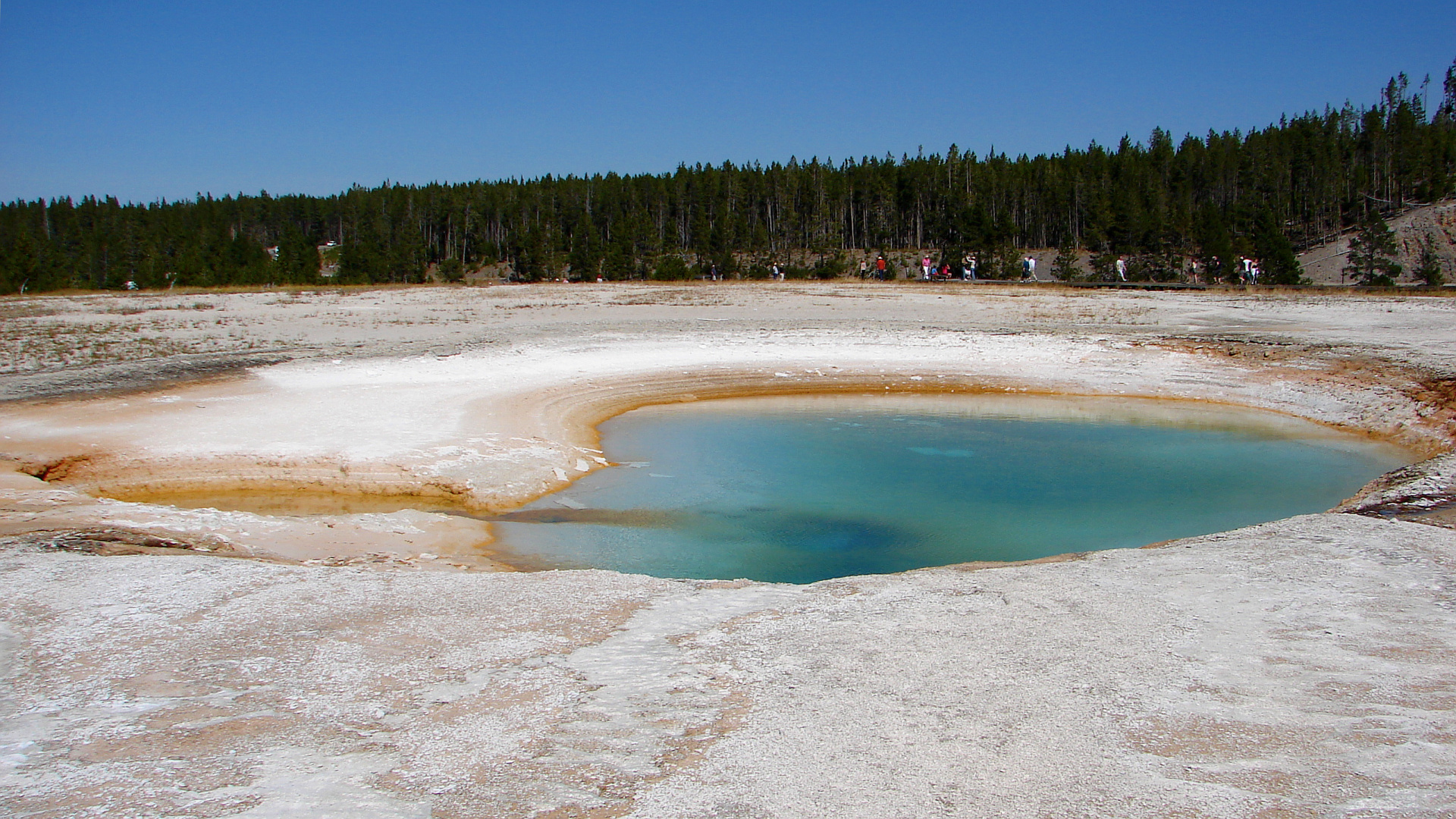 Turquoise Pool (Travels » US Trip 1: Cheyenne Country » The Journey » Yellowstone National Park » Geysers, Hot Springs and Lakes » Midway Geyser Basin)