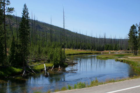 Gibbon River