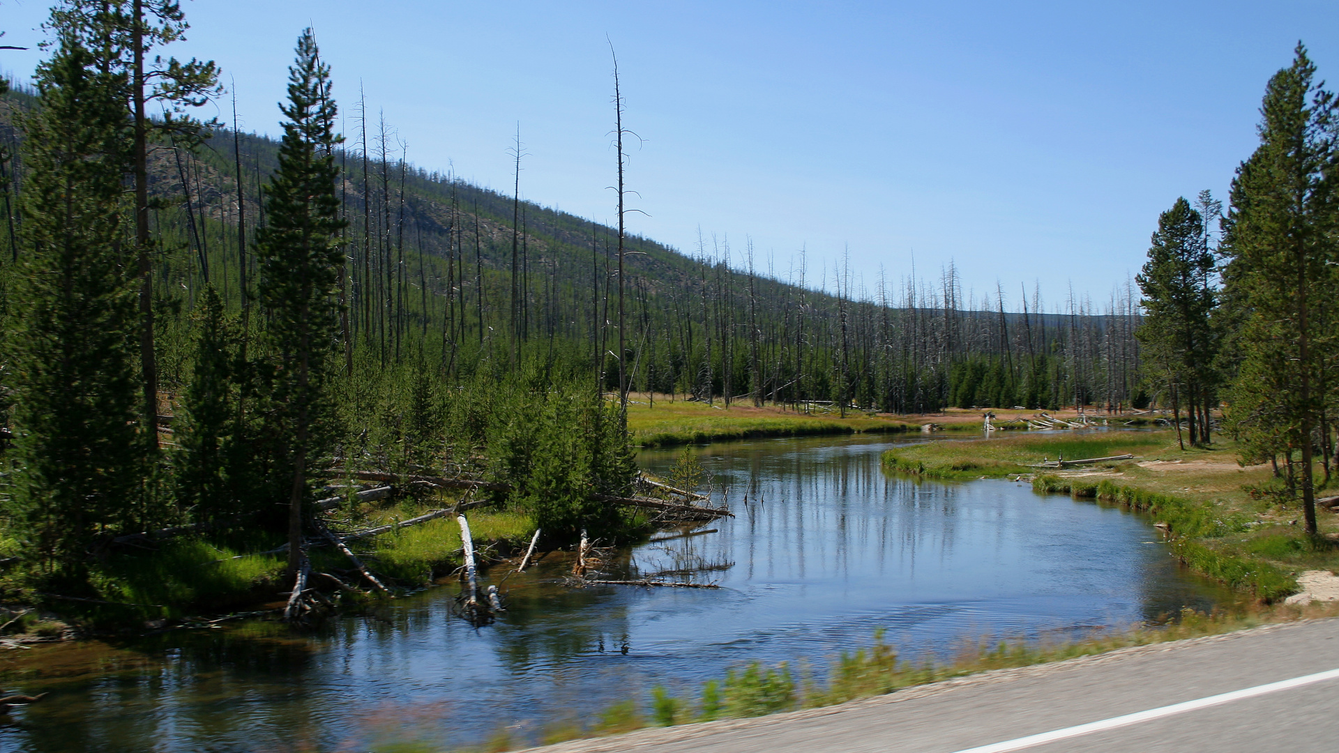 Gibbon River (Podróże » USA: Na ziemi Czejenów » Wielka Podróż » Park Narodowy Yellowstone)