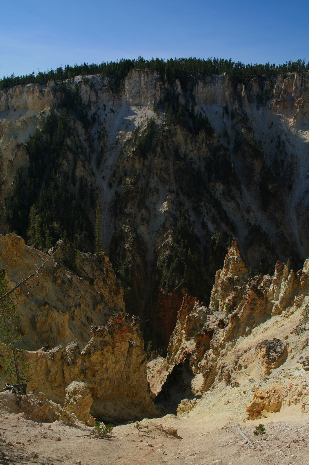 Wielki Kanion Yellowstone z Artist Point (Podróże » USA: Na ziemi Czejenów » Wielka Podróż » Park Narodowy Yellowstone)