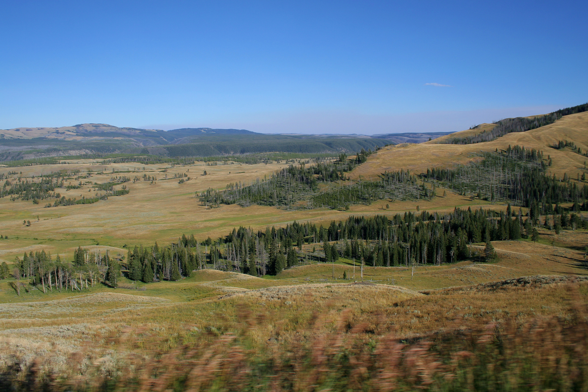 Yellowstone River Valley (Travels » US Trip 1: Cheyenne Country » The Journey » Yellowstone National Park)