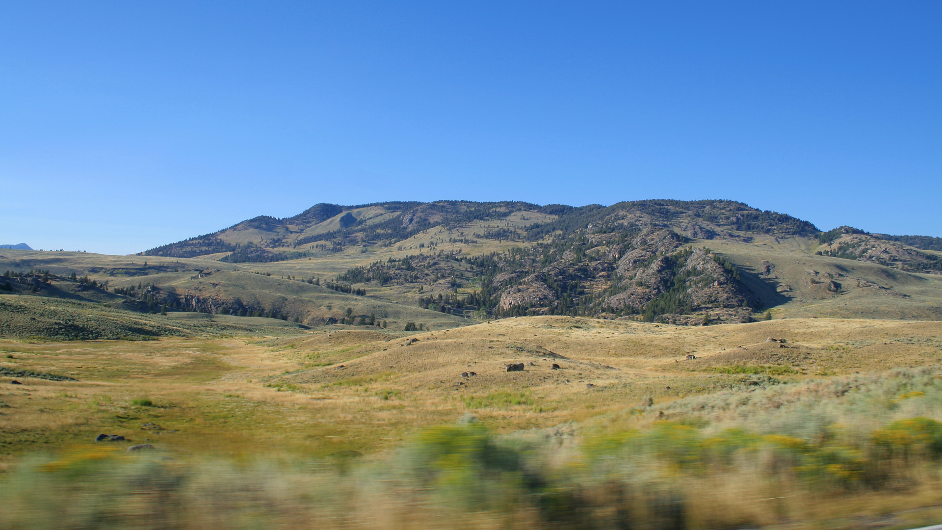 W pobliżu Junction Butte (Podróże » USA: Na ziemi Czejenów » Wielka Podróż » Park Narodowy Yellowstone)