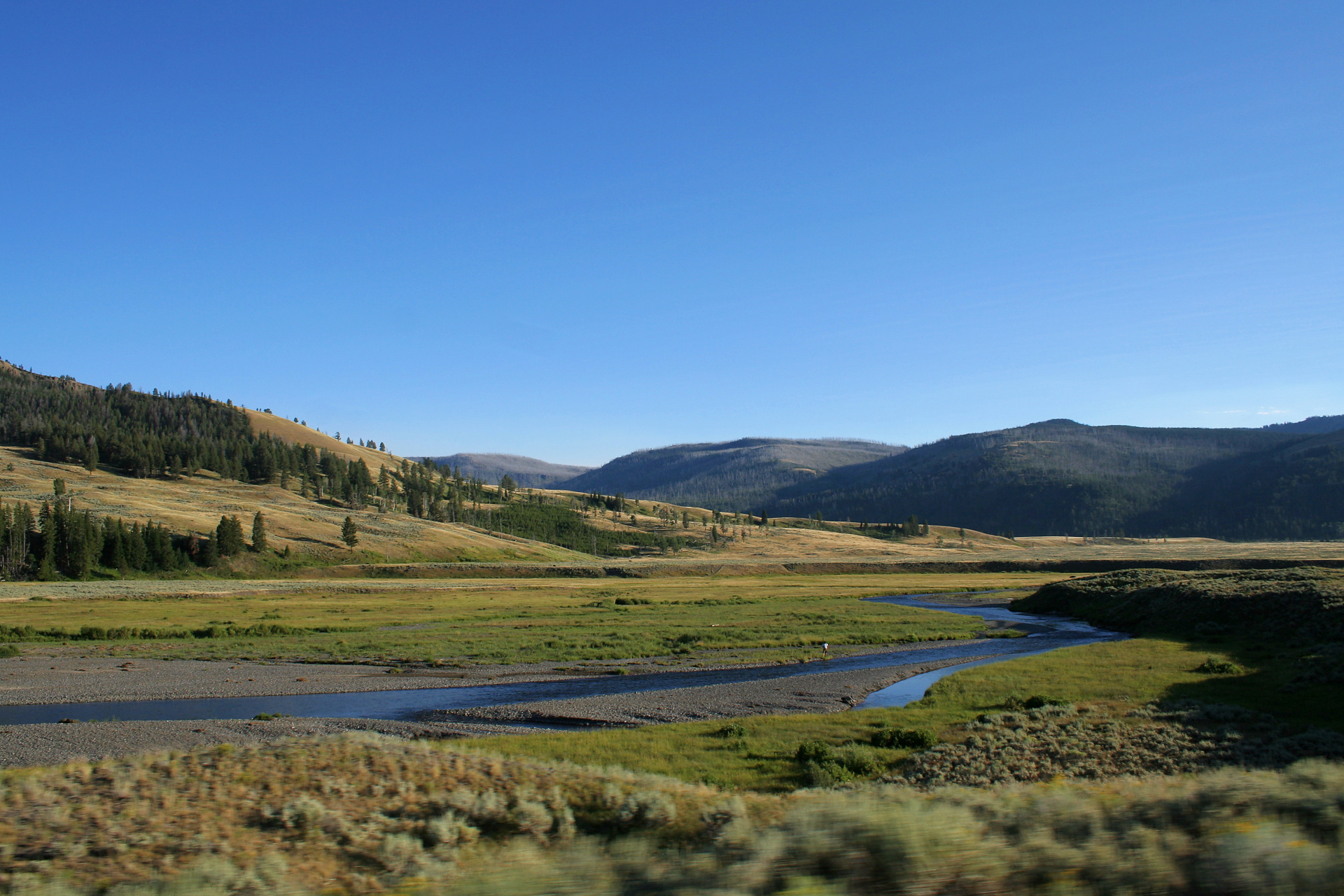 Lamar River (Podróże » USA: Na ziemi Czejenów » Wielka Podróż » Park Narodowy Yellowstone)
