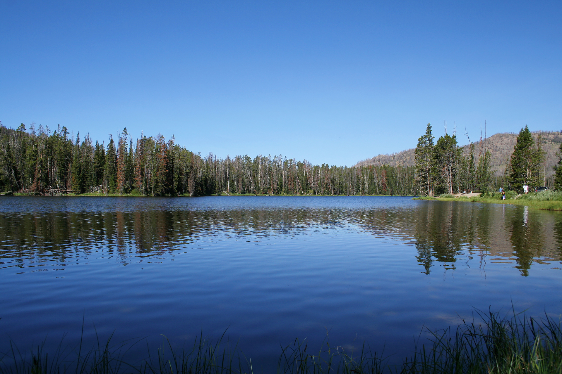 Sylvan Lake (Podróże » USA: Na ziemi Czejenów » Wielka Podróż » Park Narodowy Yellowstone)