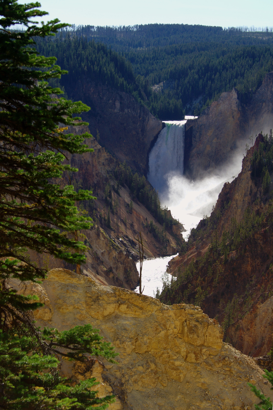 Lower Falls from Artist Point (Travels » US Trip 1: Cheyenne Country » The Journey » Yellowstone National Park » Waterfalls)