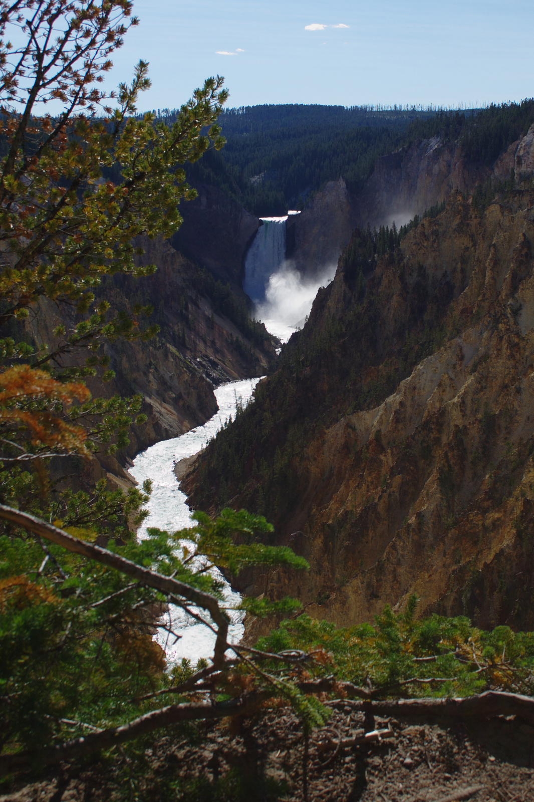 Lower Falls z Artist Point (Podróże » USA: Na ziemi Czejenów » Wielka Podróż » Park Narodowy Yellowstone » Wodospady)