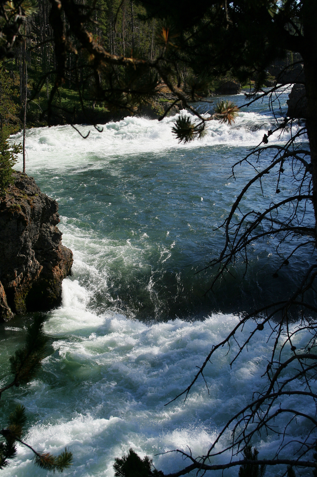 Rzeka Yellowstone w pobliżu Upper Falls (Podróże » USA: Na ziemi Czejenów » Wielka Podróż » Park Narodowy Yellowstone » Wodospady)