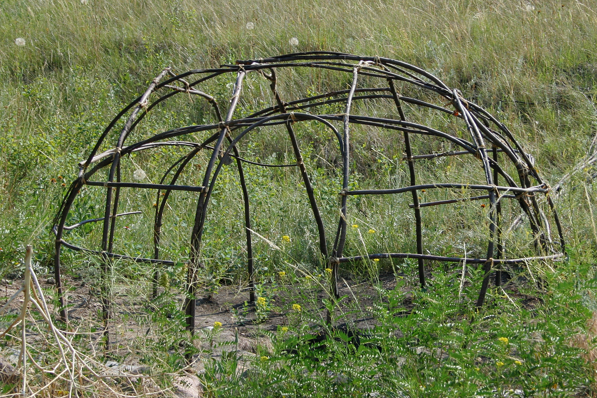 Sweat Lodge Frame (Travels » US Trip 1: Cheyenne Country » The Rez » Ashland, Tongue River and Logging Creek)