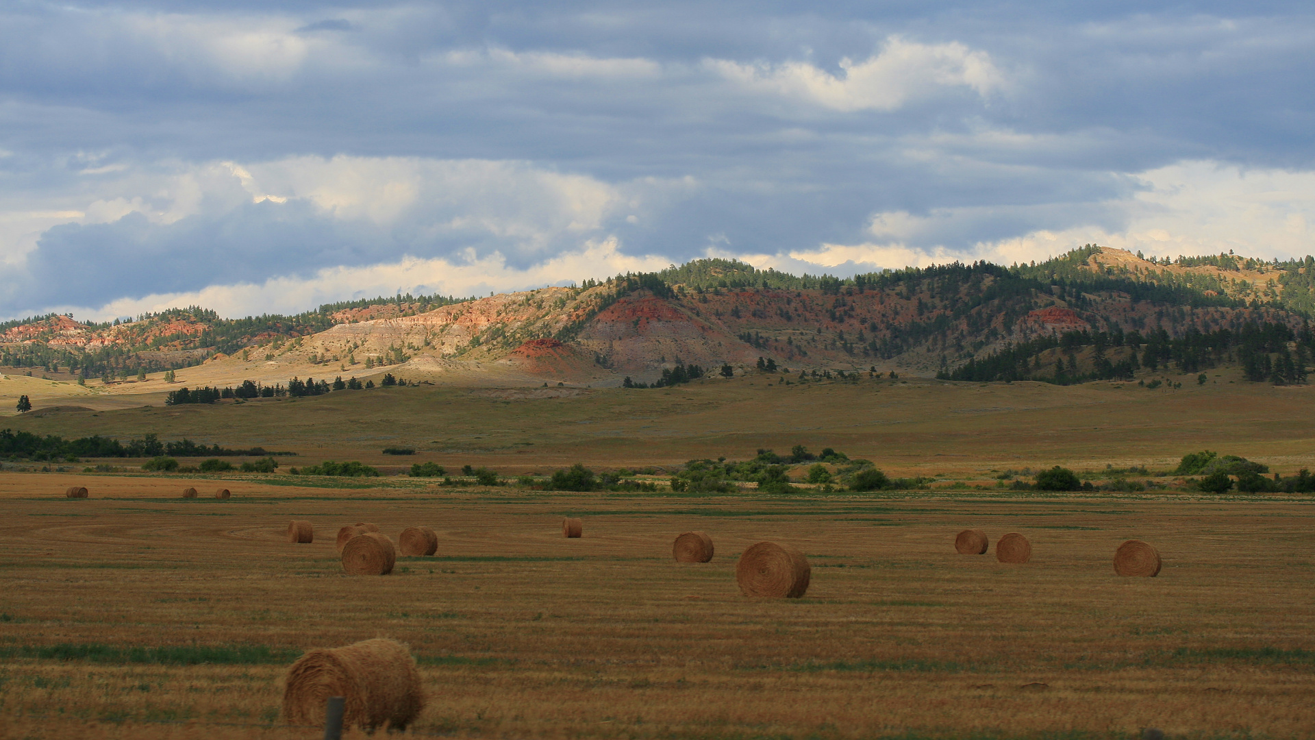 Hills and Fields by the Kirby Road (Travels » US Trip 1: Cheyenne Country » The Rez » Busby)