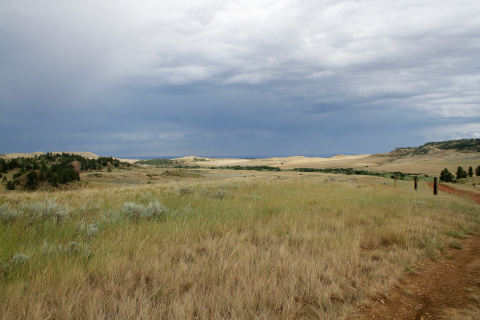 Battlefield - East