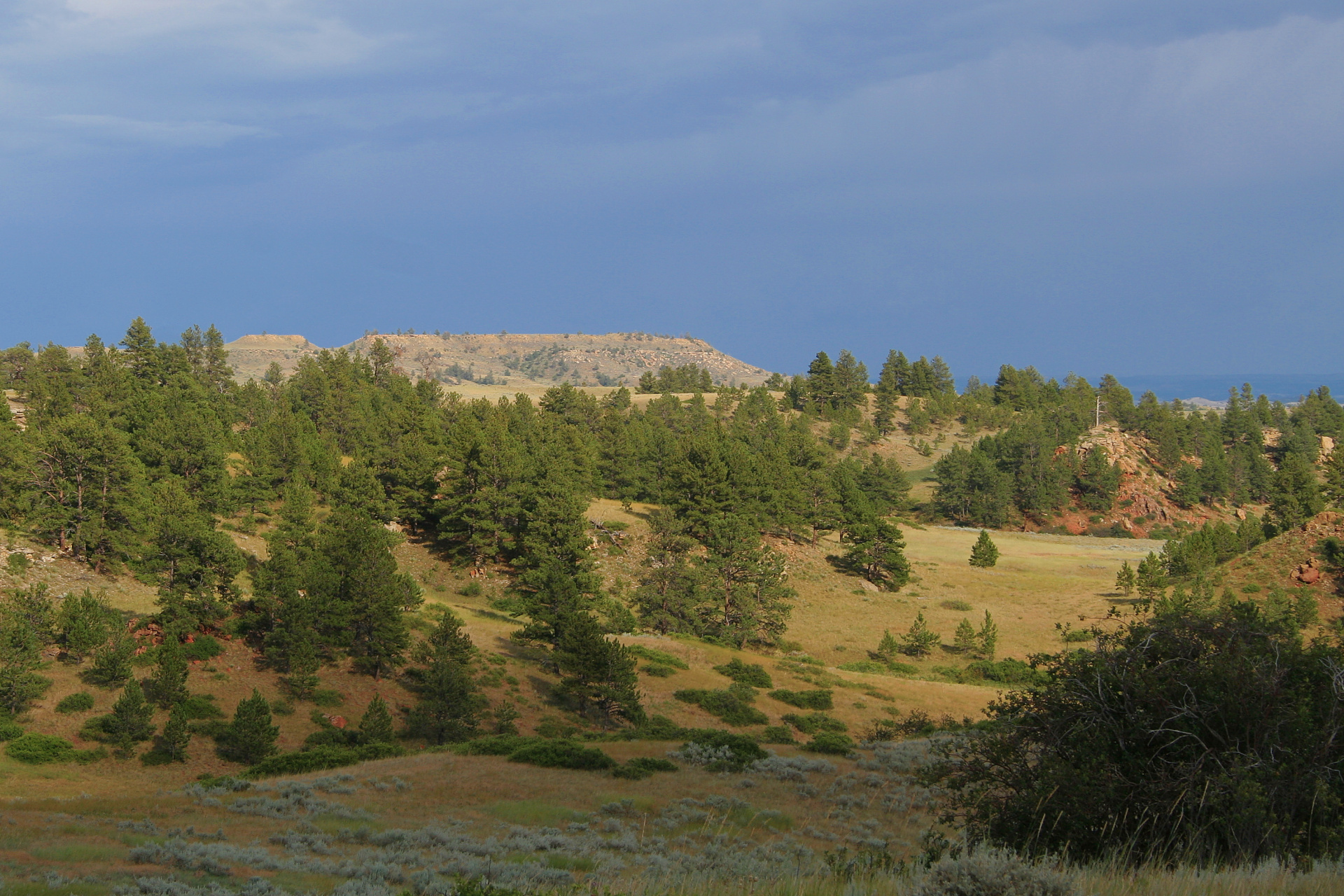 Looking East from the Battlefield (Travels » US Trip 1: Cheyenne Country » The Rez » Rosebud Battlefield)