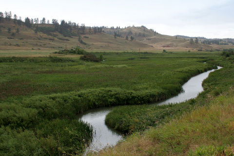 Rosebud Creek