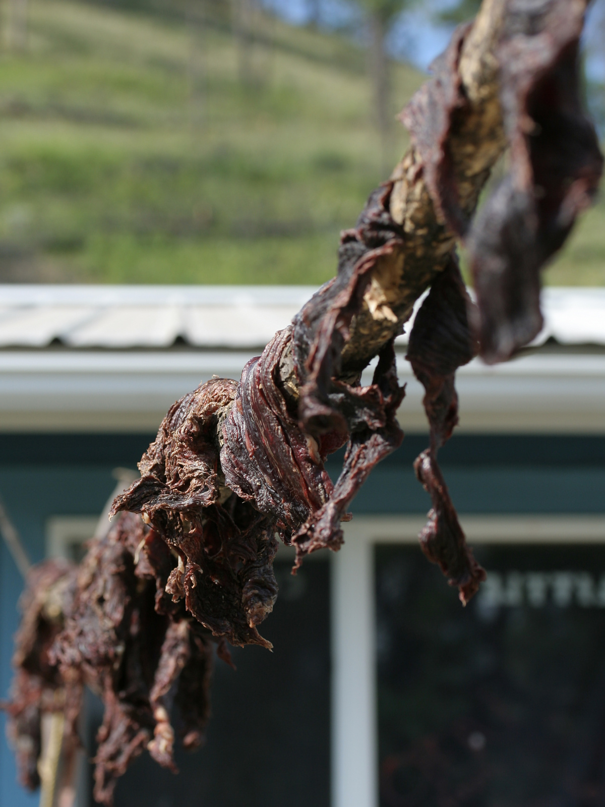 Dry Buffalo Meat (Travels » US Trip 1: Cheyenne Country » misc)