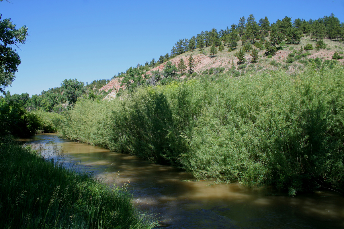 Tongue River (Travels » US Trip 2: Cheyenne Epic » The Rez » Ashland and Tongue River)