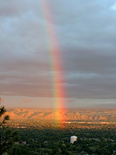 Photo of the Trip: Billings after rainfall