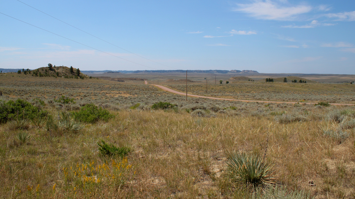 Prairie (Travels » US Trip 3: The Roads Not Taken » The Country » Colstrip and Surroundings)