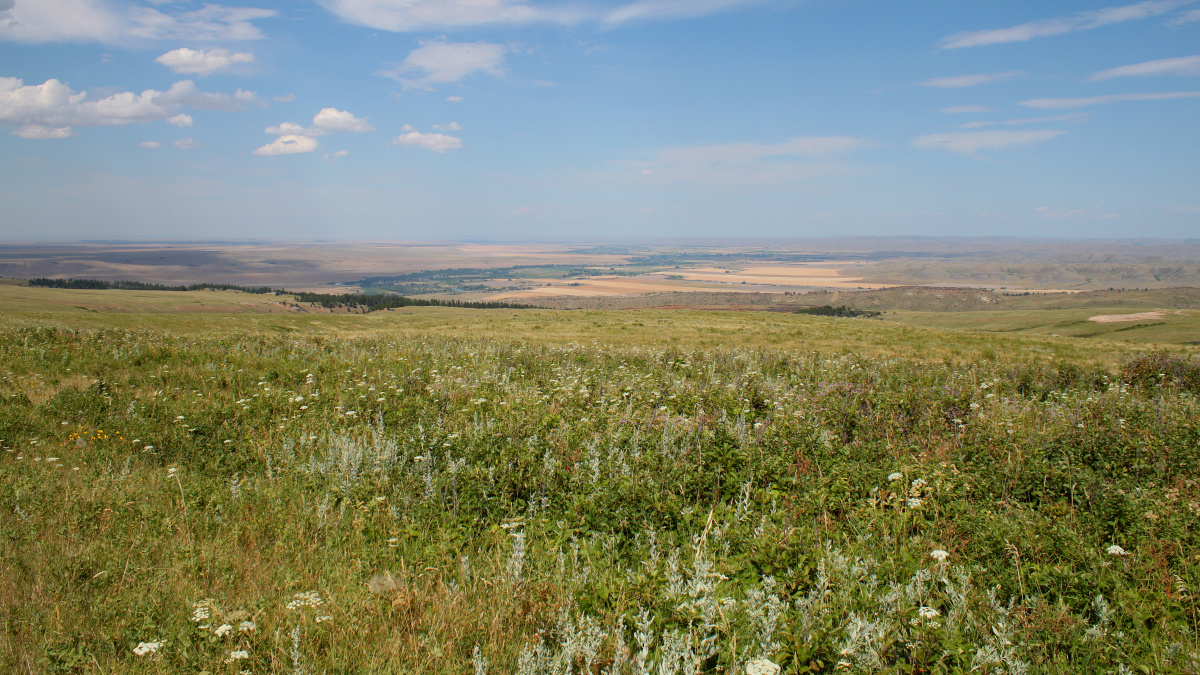 Widok na Yellowtail (Podróże » USA: Drogi nie obrane » Okolica » Rezerwat Wron)