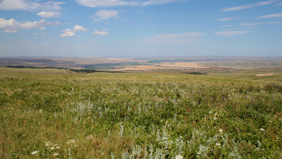 A View on Yellowtail (Travels » US Trip 3: The Roads Not Taken » The Country » Crow Reservation)