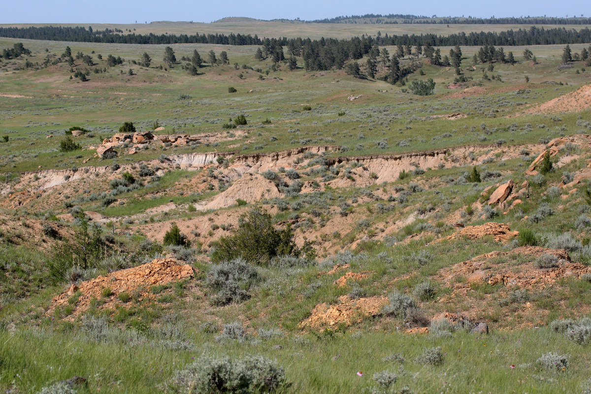 IMG_6291 (Travels » US Trip 3: The Roads Not Taken » The Rez » Ashland, Tongue River Valley and Birney Divide)