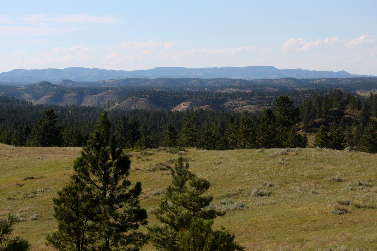 Cheyenne Lands: Overlooking Muddy Cluster (Travels » US Trip 3: The Roads Not Taken » The Rez)