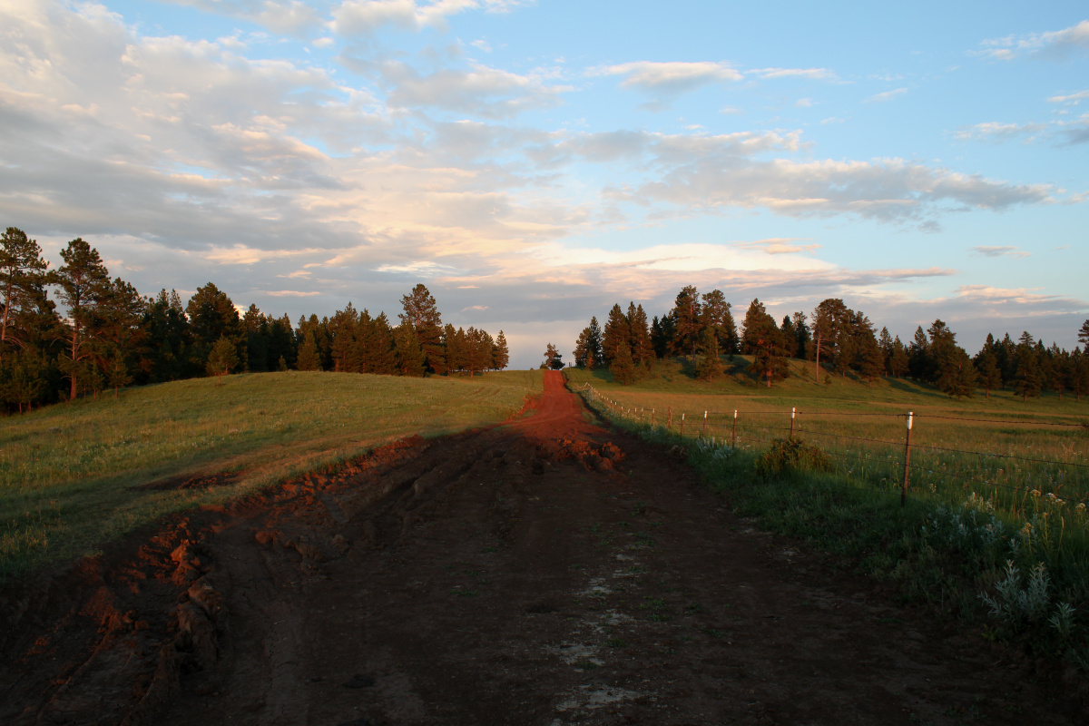 Birney Road w kierunku Kelty Ridge