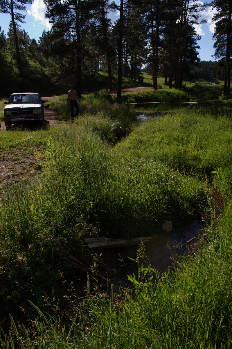 At the Spring... (Travels » US Trip 3: The Roads Not Taken » The Rez » Crazy Head Springs)