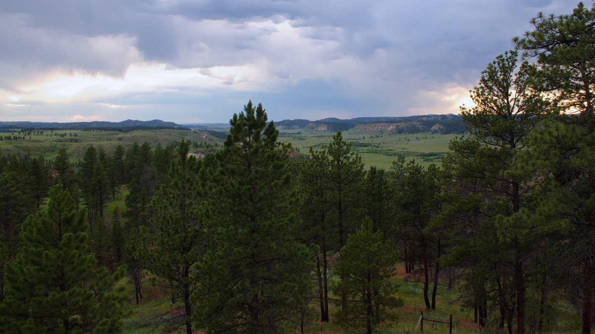 Lynch Coulee (Travels » US Trip 3: The Roads Not Taken » The Rez)