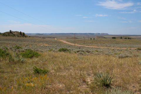 Prairie