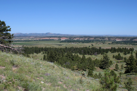 Birney Road and Tongue River