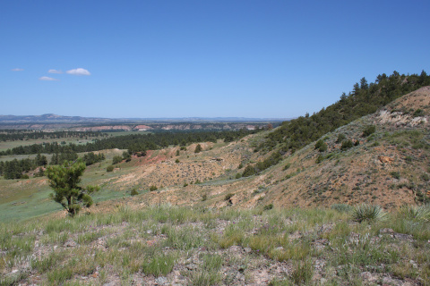 Birney Road and Tongue River