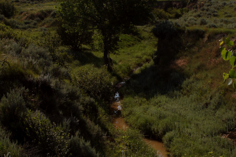 Happy Creek