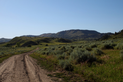 Logging Creek Road
