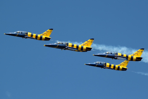 Aero L-39 Albatros, Baltic Bees