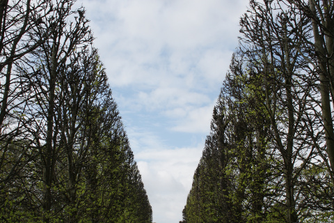 Kavalergangen