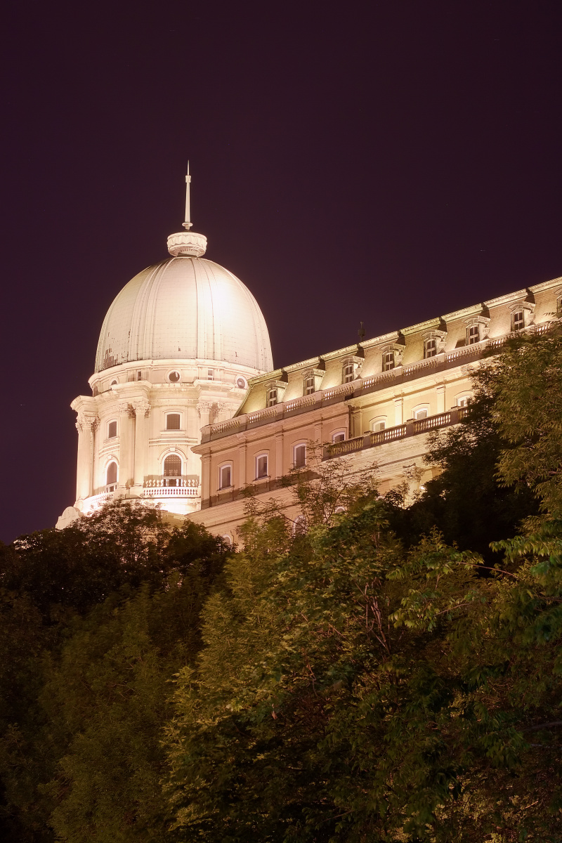 Buda Castle from Above The Tunnel