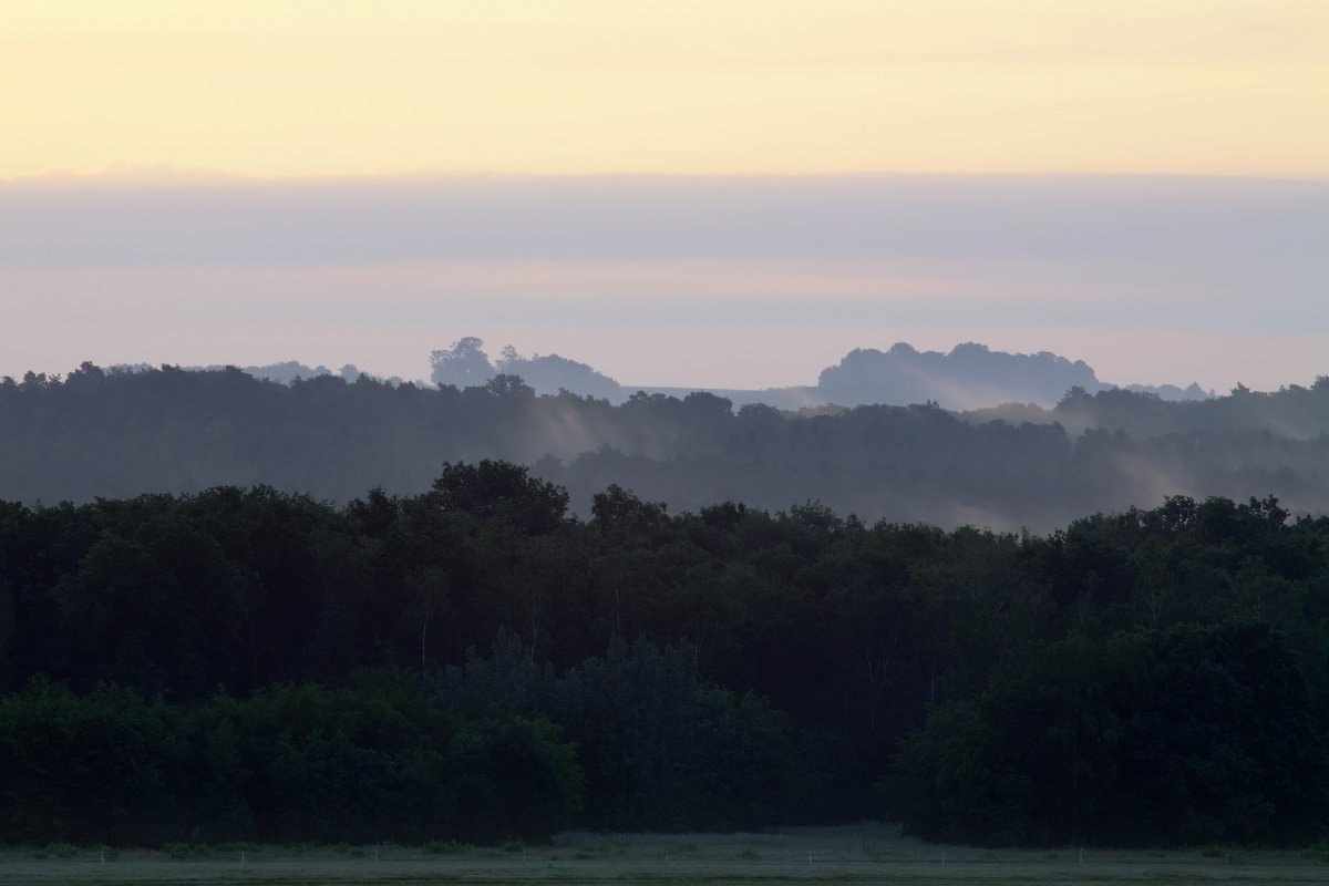 Morning Mist (Travels » Cologne)