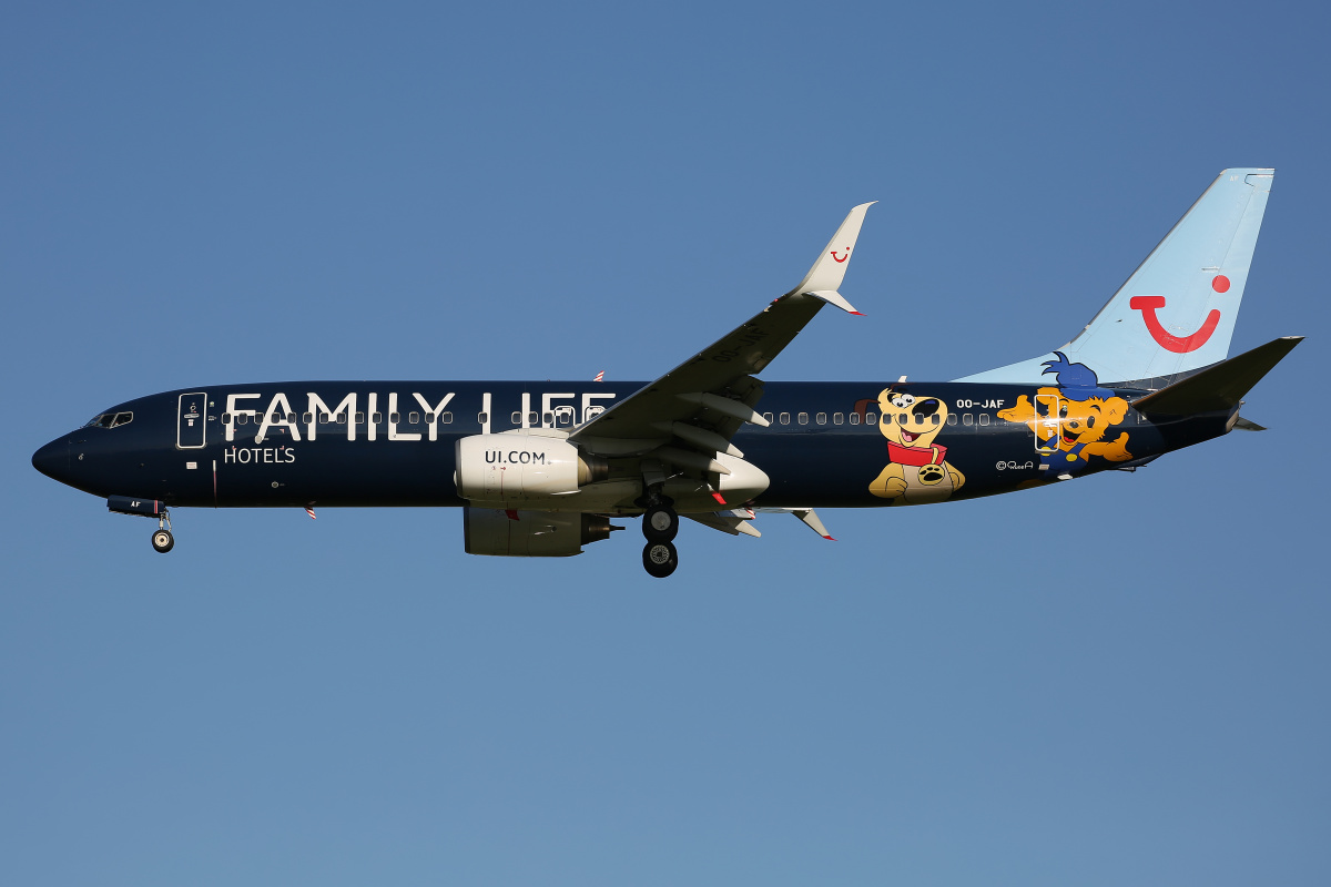 OO-JAF, TUI fly Belgium (malowanie Family Life Hotels) (Samoloty » Spotting na Schiphol » Boeing 737-800)