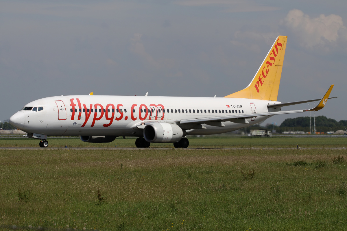 TC-ANP, Pegasus Airlines (Samoloty » Spotting na Schiphol » Boeing 737-800)