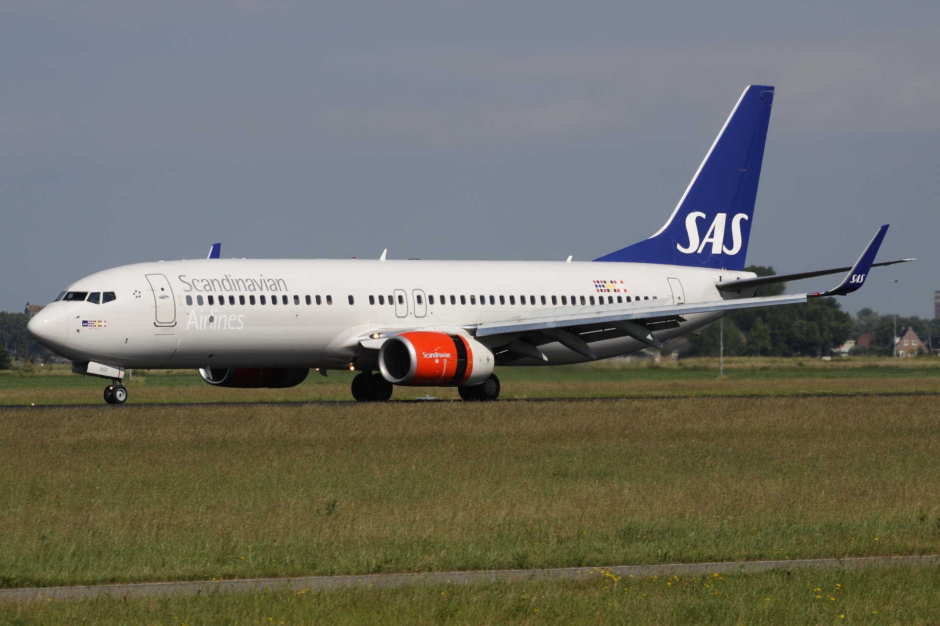 LN-RGF, SAS Scandinavian Airlines (Aircraft » Schiphol Spotting » Boeing 737-800)
