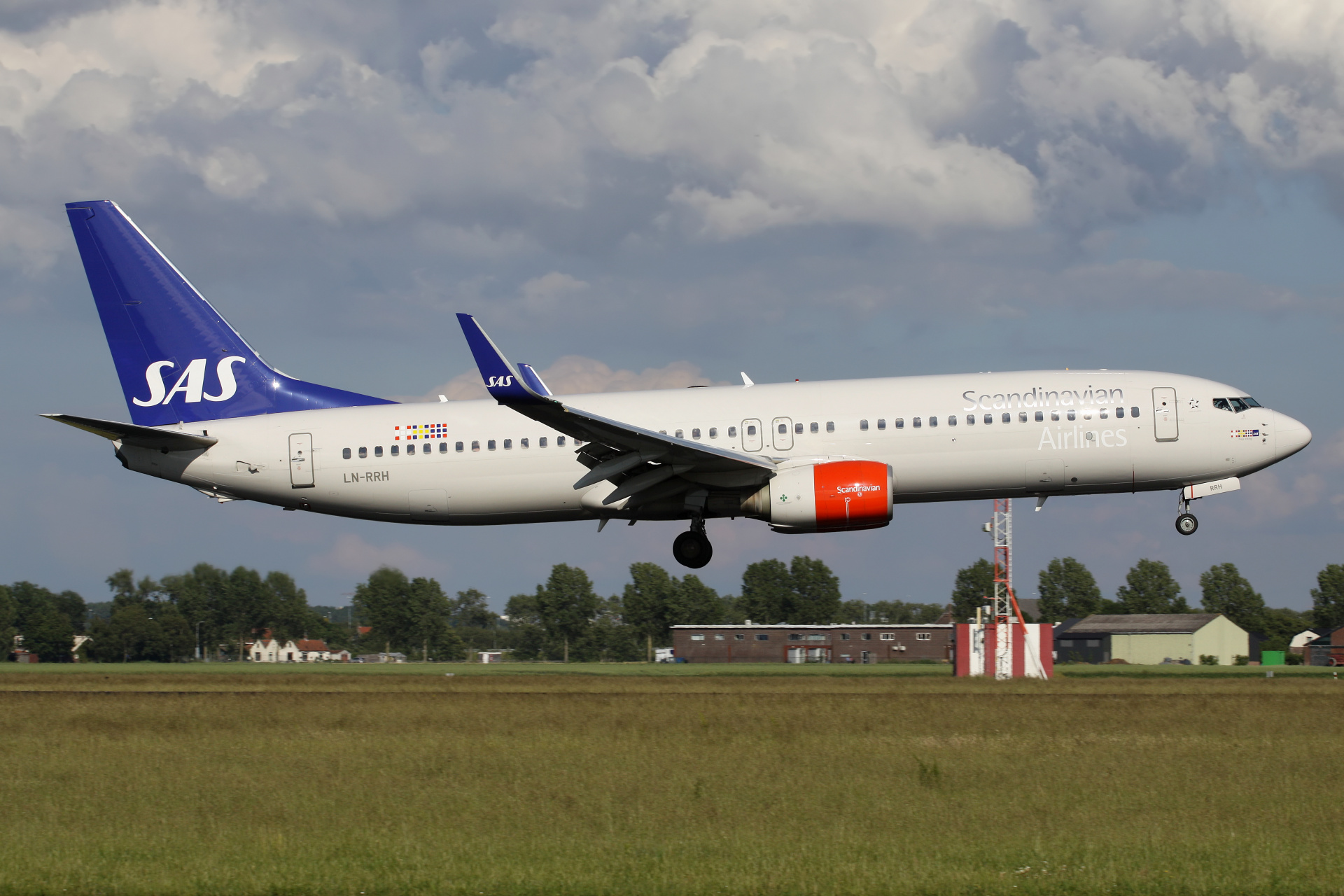 LN-RRH, SAS Scandinavian Airlines (Samoloty » Spotting na Schiphol » Boeing 737-800)